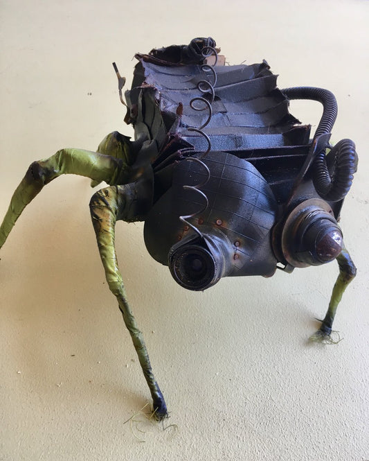 Bellows Beetle